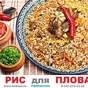 рис континент в Уфе и Республике Башкортостан 2